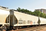 443504